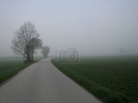 Téléchargez les photos : Brouillard sur la route - en image libre de droit