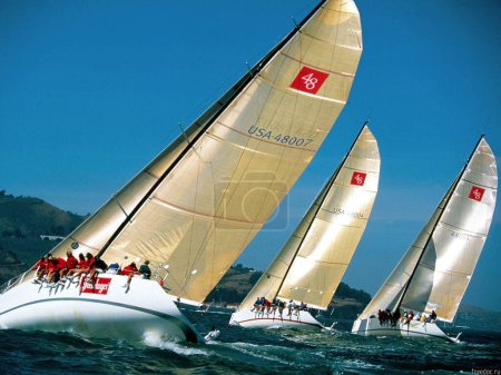 Photo for Yachts under sail in sea - Royalty Free Image