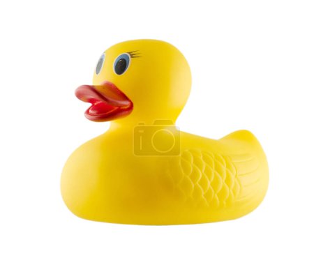 Photo for Child's Rubber Duck on white background - Royalty Free Image