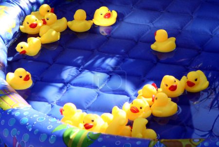 Téléchargez les photos : Canards jaunes en caoutchouc dans la piscine - en image libre de droit