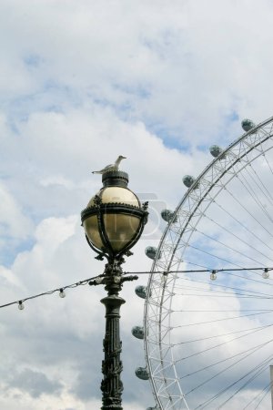 Téléchargez les photos : Bird On the lantern in London - en image libre de droit