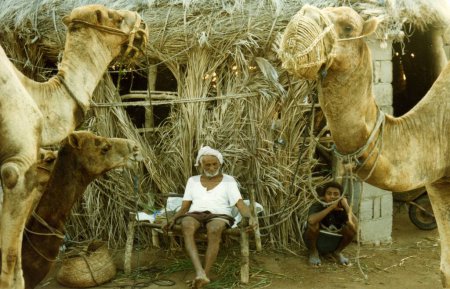 Foto de Pastores de camellos con camellos - Imagen libre de derechos