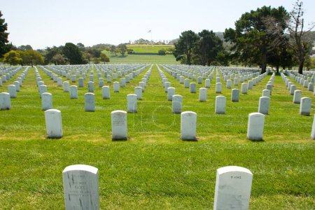 Photo for Memorial Day concept. Military cemetery - Royalty Free Image