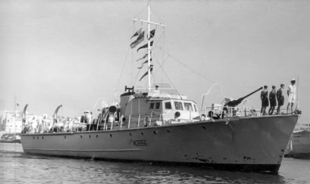 Téléchargez les photos : HMS Illustre, noir et blanc sur fond de nature - en image libre de droit