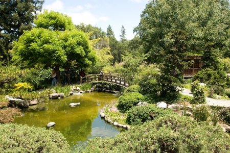 Téléchargez les photos : Vue du jardin japonais - en image libre de droit