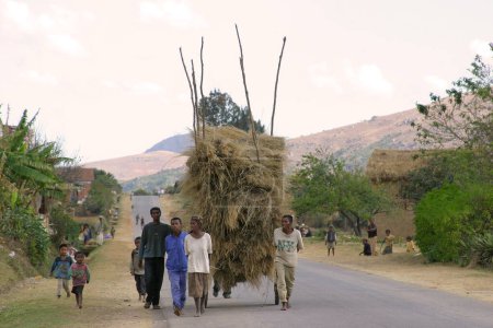 Téléchargez les photos : Des enfants africains portant une meule de foin à Madagascar - en image libre de droit
