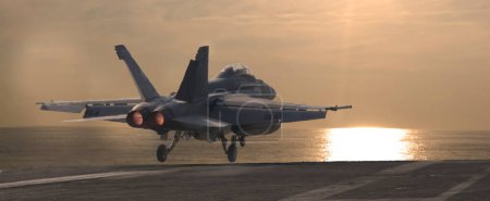 Téléchargez les photos : Hornet plane au coucher du soleil - en image libre de droit