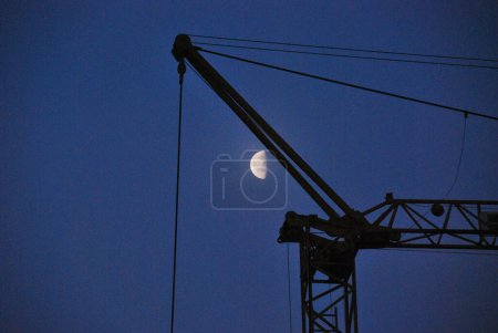 Photo for Silhouette of a crane in the night on nature background - Royalty Free Image
