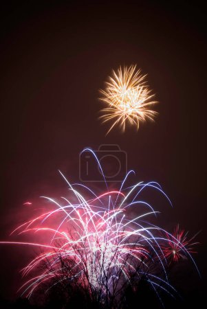 Téléchargez les photos : Belle vue nocturne et feux d'artifice colorés - en image libre de droit