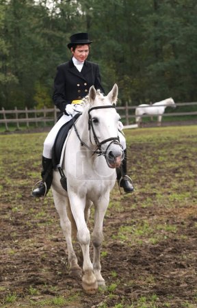 Téléchargez les photos : Jeune femme sur un cheval blanc - en image libre de droit