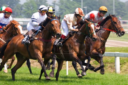 Téléchargez les photos : Compétition de courses de chevaux sur le terrain - en image libre de droit