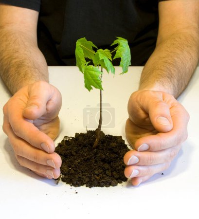 Téléchargez les photos : Concept d'environnement, mains avec plante dans le sol - en image libre de droit