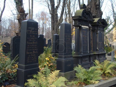 Photo for OLD JEWISH CEMETERY IN UPPER SILESIA - Royalty Free Image