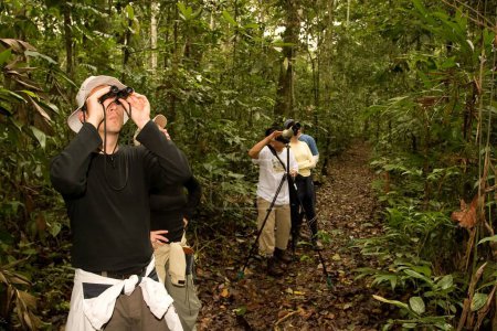 Foto de Grupo si las personas que caminan en el bosque con binocular - Imagen libre de derechos