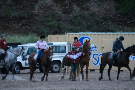 Téléchargez les photos : Les gens à cheval sur la plage - en image libre de droit