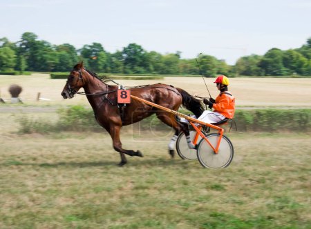 Photo for Horse trotting race, close-up view - Royalty Free Image