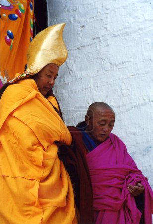 Foto de The descending lama close-up view - Imagen libre de derechos