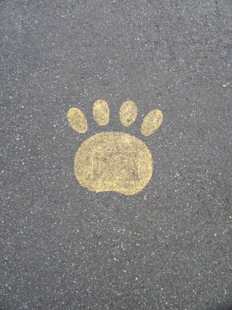 Photo for Paw print sign on the road - Royalty Free Image