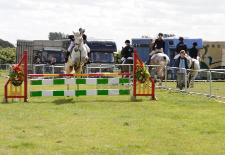 Photo for Horse jumping, county show - Royalty Free Image