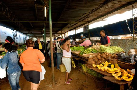 Téléchargez les photos : Citoyens locaux au marché de La Havane, République de Cuba - en image libre de droit