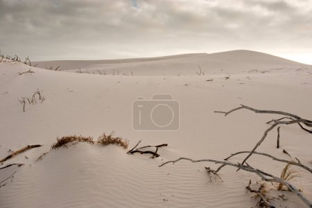 Téléchargez les photos : Scène du désert, vue de jour - en image libre de droit