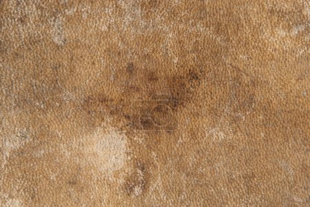 Photo for Brown leather, texture concept background - Royalty Free Image