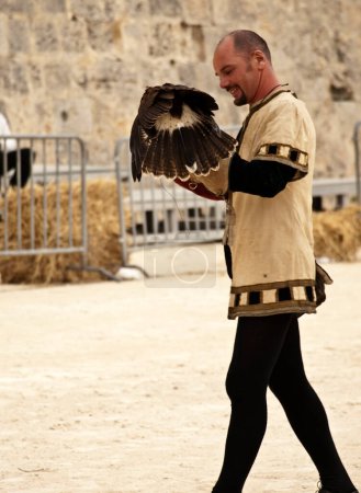 Foto de Hombre con halcón medieval - Imagen libre de derechos
