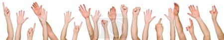 Foto de Montones de manos levantadas sobre fondo blanco - Imagen libre de derechos
