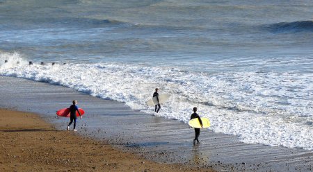 Foto de Hombres jóvenes surfeando olas en el mar durante el día - Imagen libre de derechos