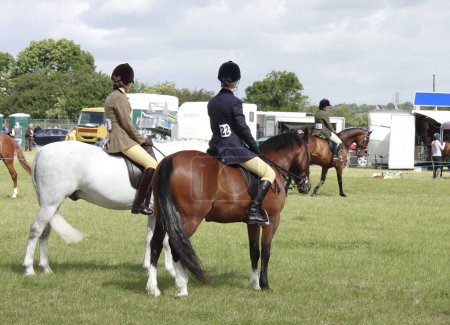 Téléchargez les photos : Défilé de chevaux autour du ring au Derbyshire County Show 2008 - en image libre de droit