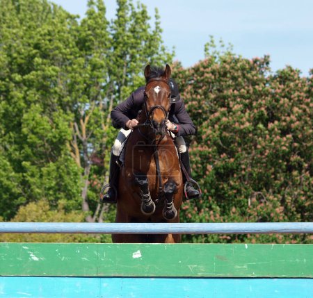 Foto de Horse and rider on a race on background - Imagen libre de derechos