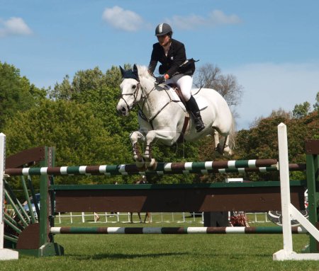 Foto de Jumping horse and rider  in the show - Imagen libre de derechos