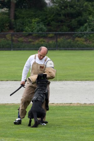 Téléchargez les photos : Homme et chien de police, concept de compétition - en image libre de droit
