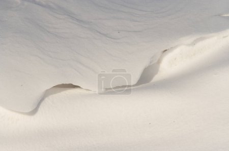 Photo for Close - up shot of snow - covered surface - Royalty Free Image