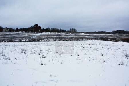 Téléchargez les photos : Printemps en Finlande vue panoramique - en image libre de droit