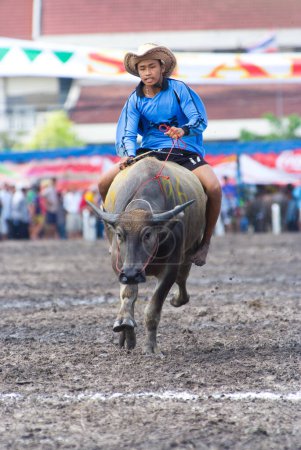 Téléchargez les photos : Courses annuelles Buffalo à Chon buri 2009, homme sur bétail taureau - en image libre de droit