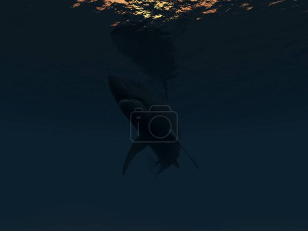 Téléchargez les photos : Un requin sous-marin. animal dans la faune - en image libre de droit