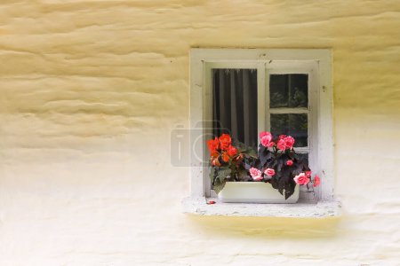 Téléchargez les photos : Vieille fenêtre avec des fleurs blanches - en image libre de droit