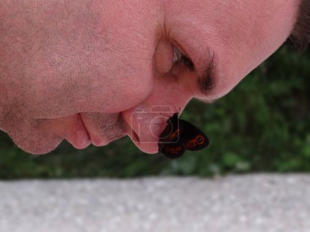Foto de Arran mariposa marrón sentado en la nariz - Imagen libre de derechos
