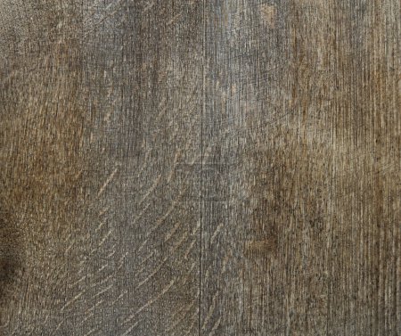 Photo for Abstract creative backdrop. wooden panel background - Royalty Free Image