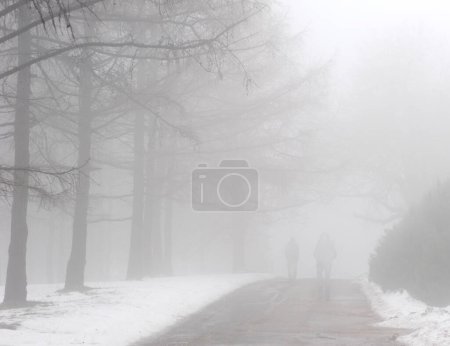 Foto de La gente camina en el parque de invierno - Imagen libre de derechos