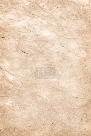 Photo for Abstract creative backdrop. Parchment paper background - Royalty Free Image
