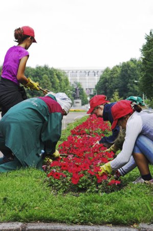 Téléchargez les photos : Vue des filles faisant le jardinage - en image libre de droit