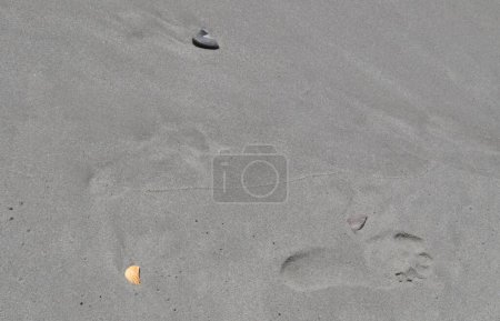 Téléchargez les photos : Footstep In The Sand on sea beach - en image libre de droit