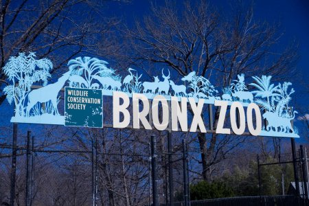 Téléchargez les photos : Zoo du Bronx Connexion ville - en image libre de droit