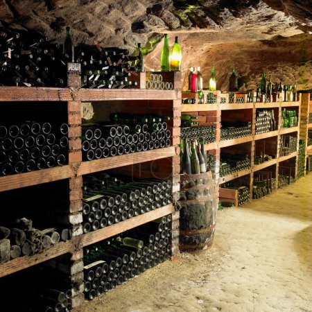 Photo for Wine cellar, Bily sklep rodiny Adamkovy, Chvalovice, Czech Republic - Royalty Free Image