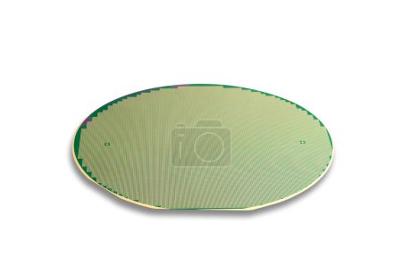Photo for Silicon wafer, isolated on the white background - Royalty Free Image