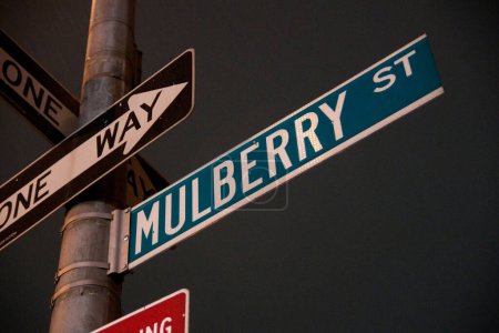 Téléchargez les photos : Mulberry street sign, close up - en image libre de droit