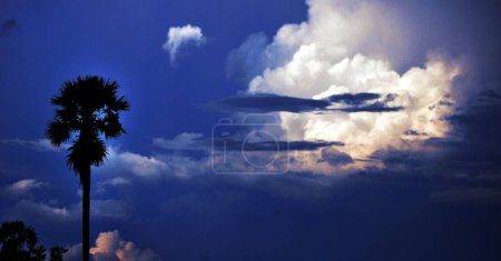 Foto de Cielo hermoso atardecer con nubes - Imagen libre de derechos