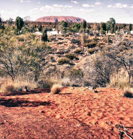 Foto de Detalle de Australian Outback - Imagen libre de derechos